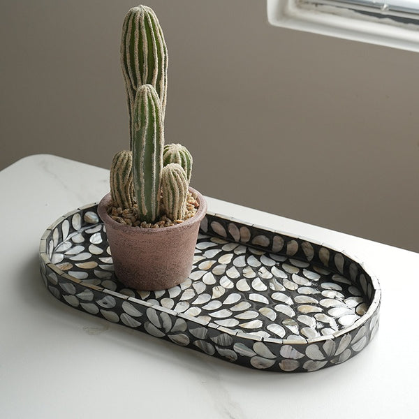 Shine Brighter Shell Tray
