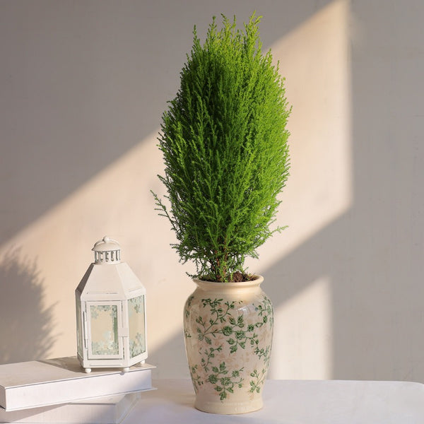Green Garden Ceramic Vase
