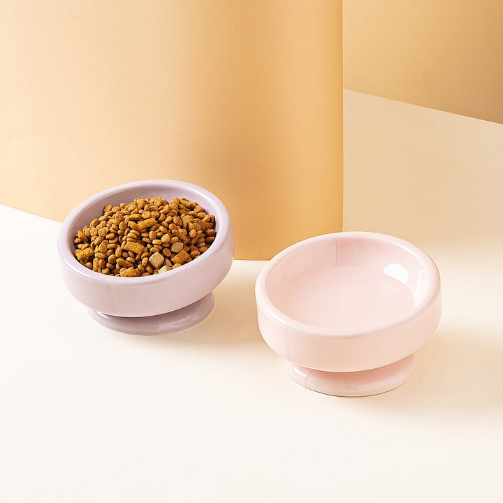 Wide Slant Pet Bowl
