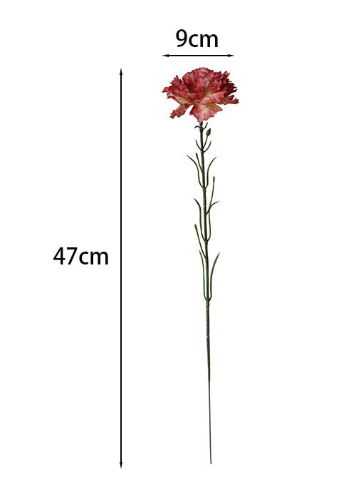 Heartfelt Carnations Bouquet
