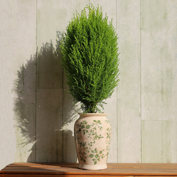 Green Garden Ceramic Vase