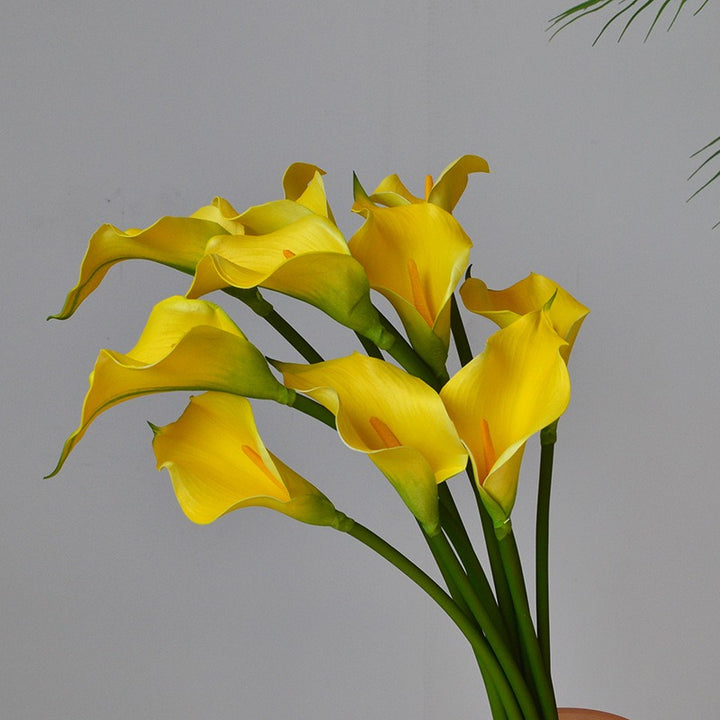 Colourful Calla Lily Bouquet