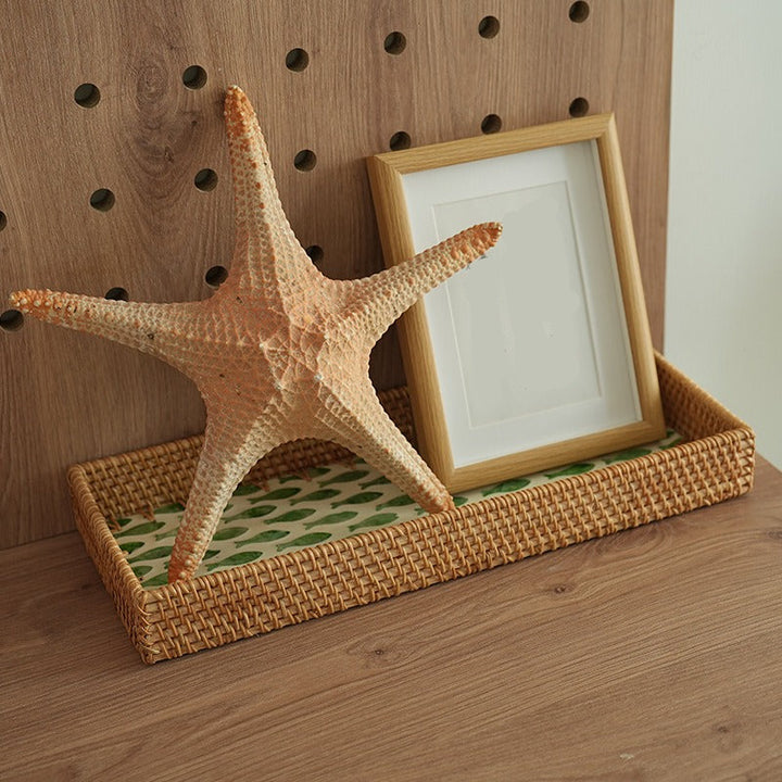 Time Museum Shell Tray Set