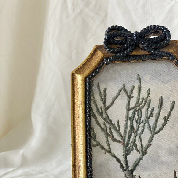 Vintage Rope-Trim Bow Frame