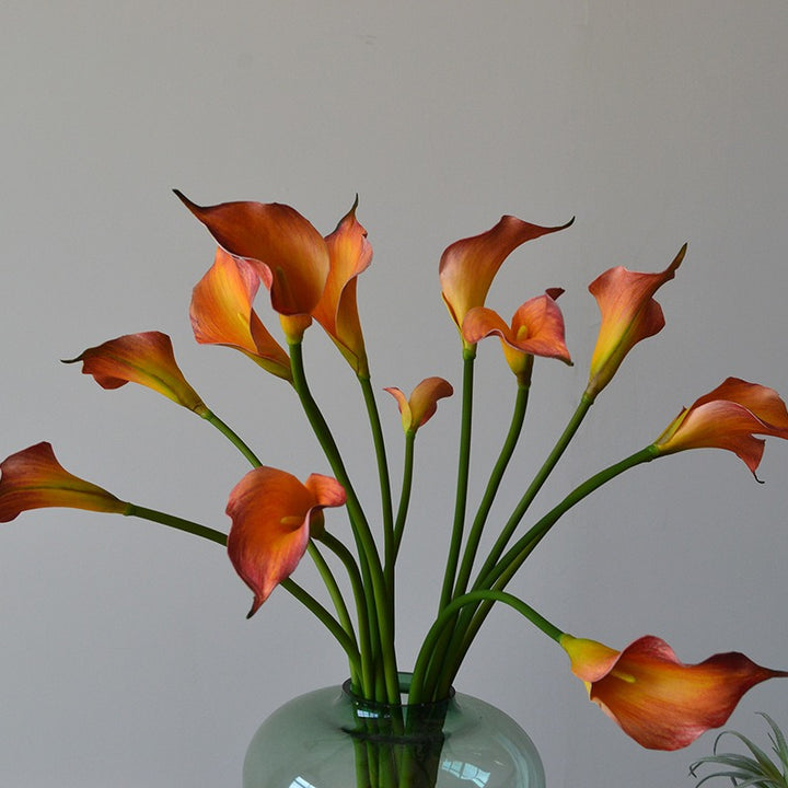 Colourful Calla Lily Bouquet