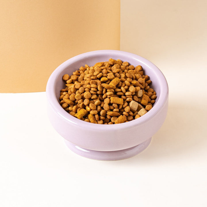 Wide Slant Pet Bowl