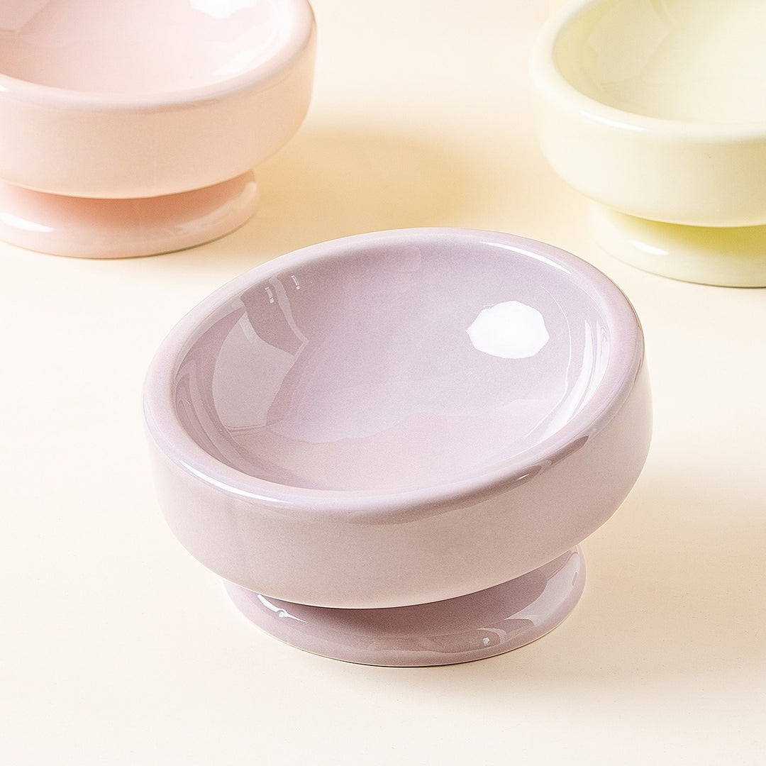 Wide Slant Pet Bowl