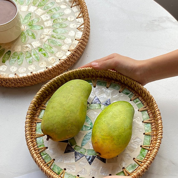 Colourful Nature Shell Tray Set