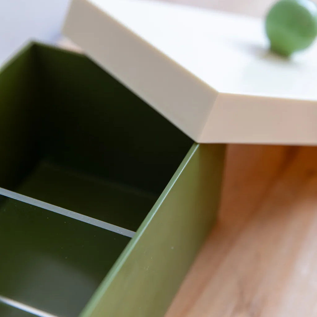 Funky Docky Lidded Storage Box Mossgreen - Delicors