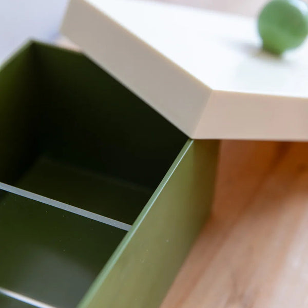 Funky Docky Lidded Storage Box Mossgreen - Delicors