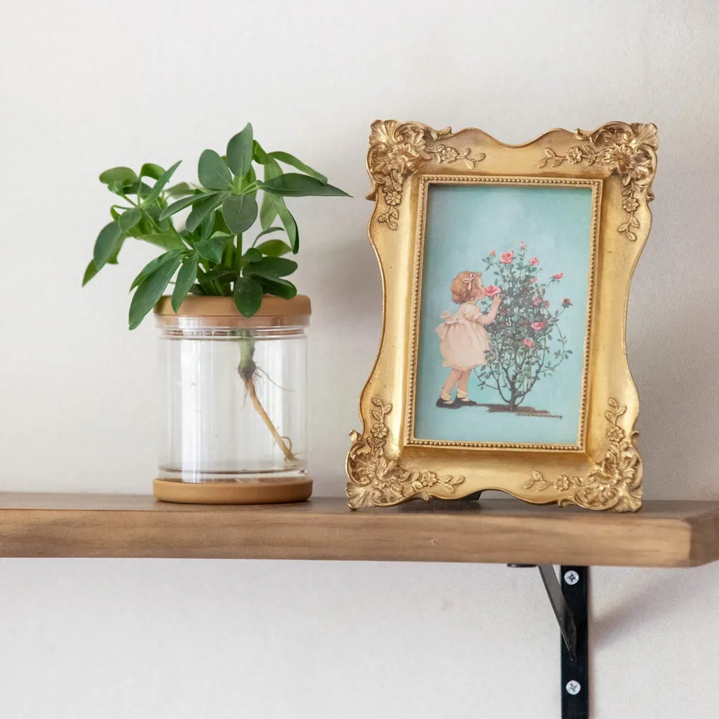 Gilded Floral Ornate Frame - Delicors