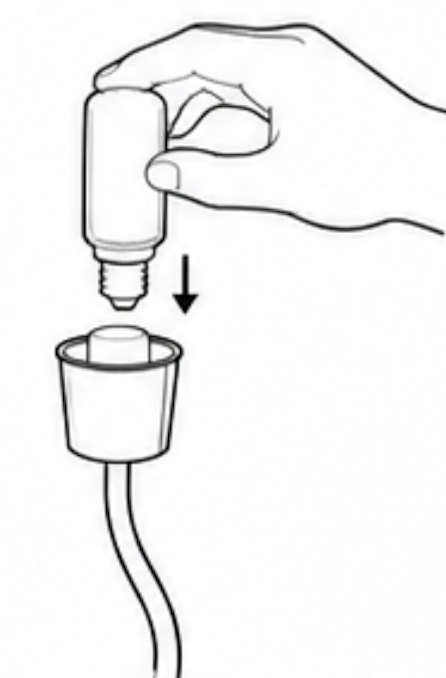 INSERT THE BULB