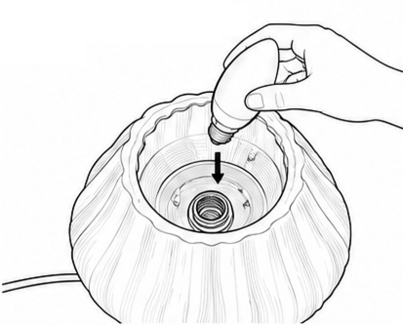 INSERT THE BULB