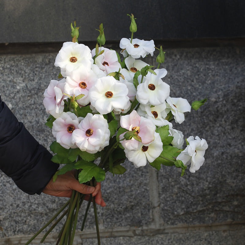 Spring Breeze Anemone Bouquet