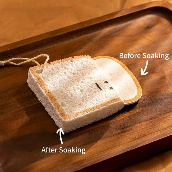 Moody Toast Dish Sponge Set