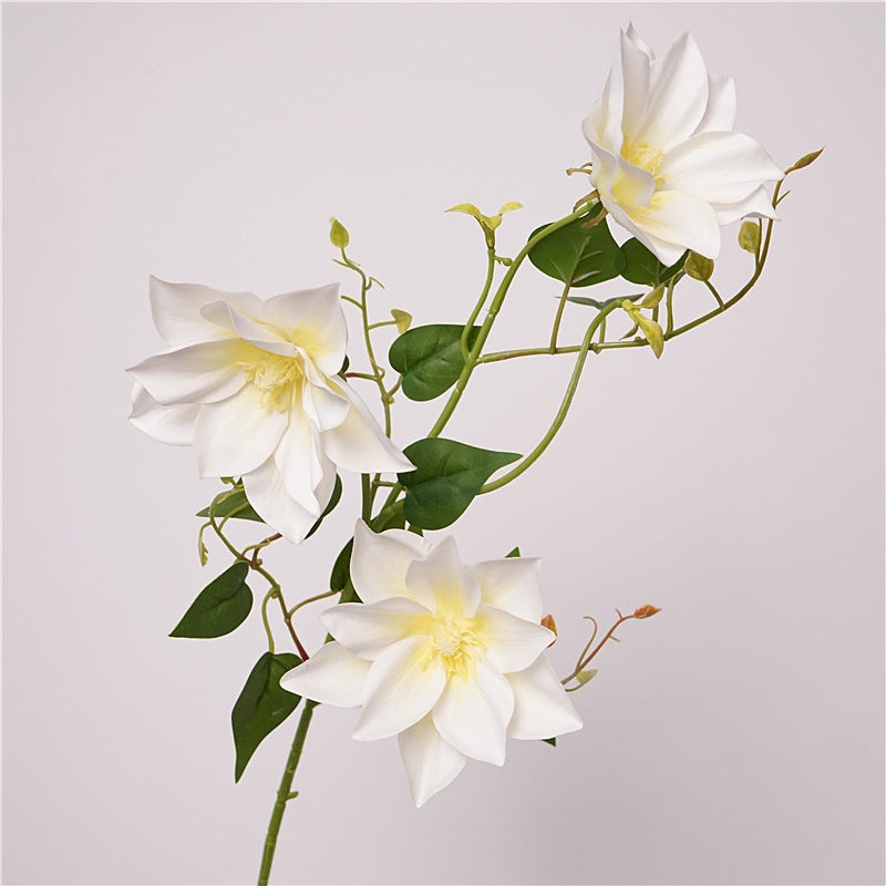 Clematis Flower Decor