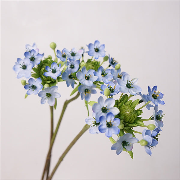 Star of Bethlehem Flower Decor
