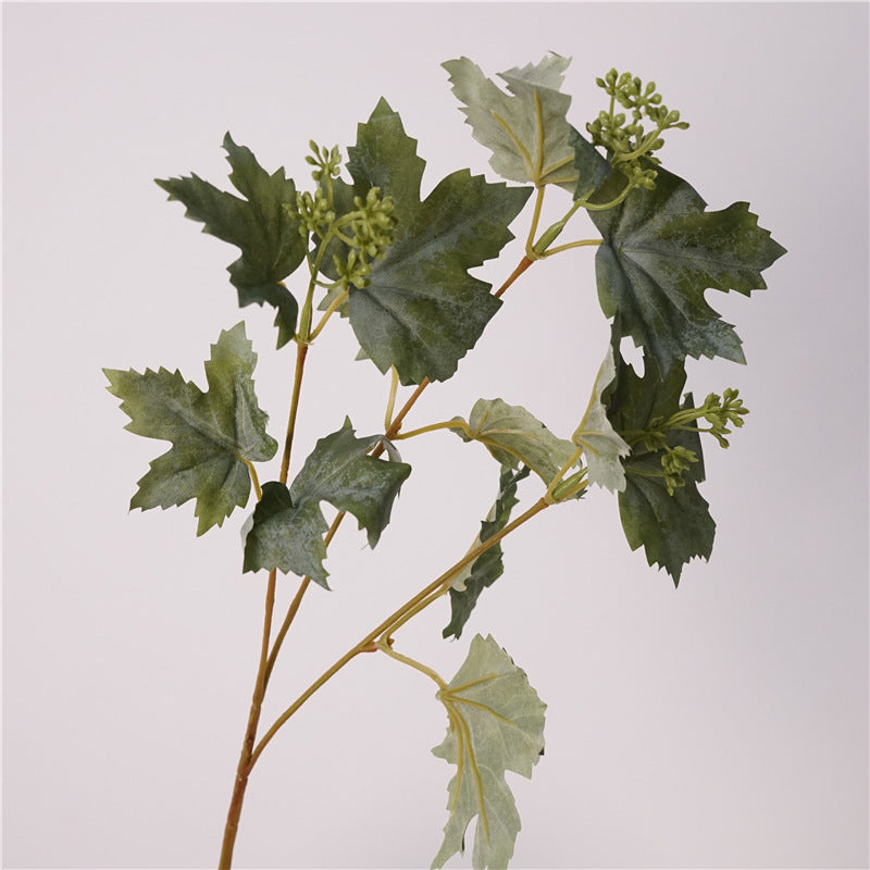 Grape Vine Leaves