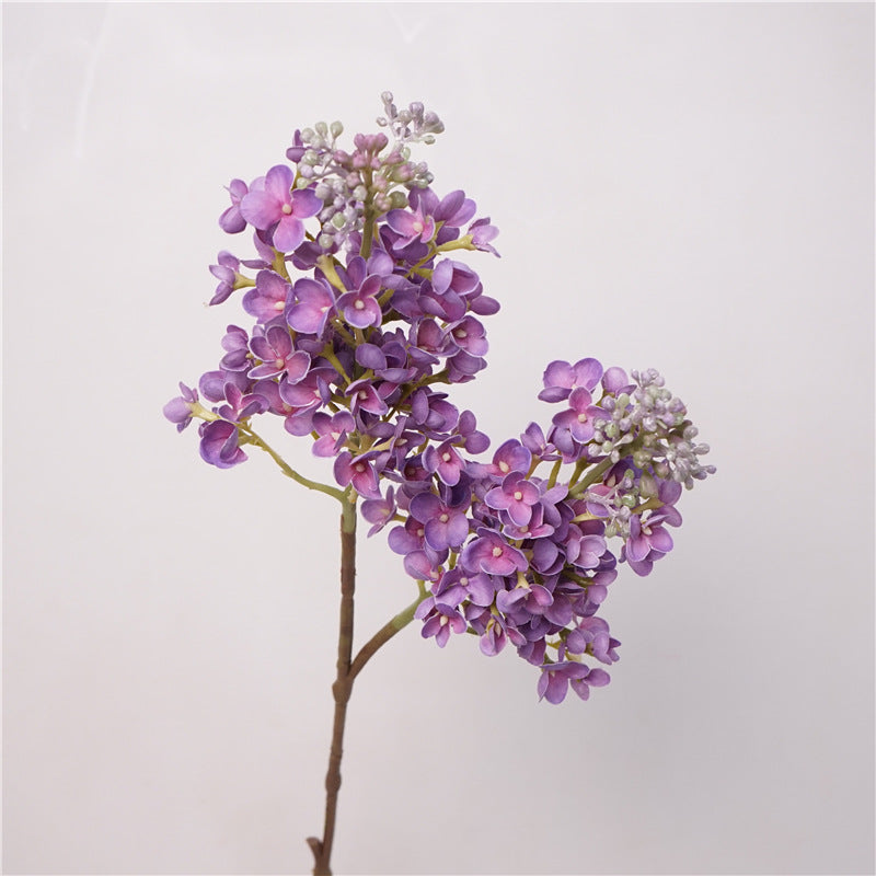 Fresh Lilac Flower Decor