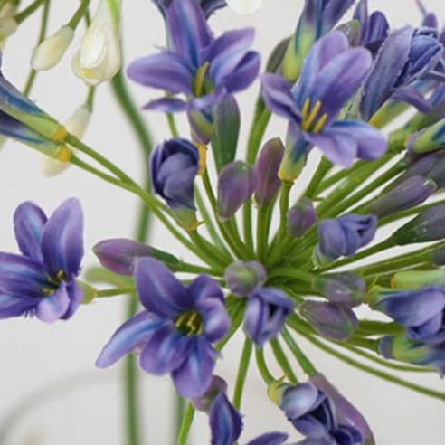 Lily Agapanthus Flower Decor