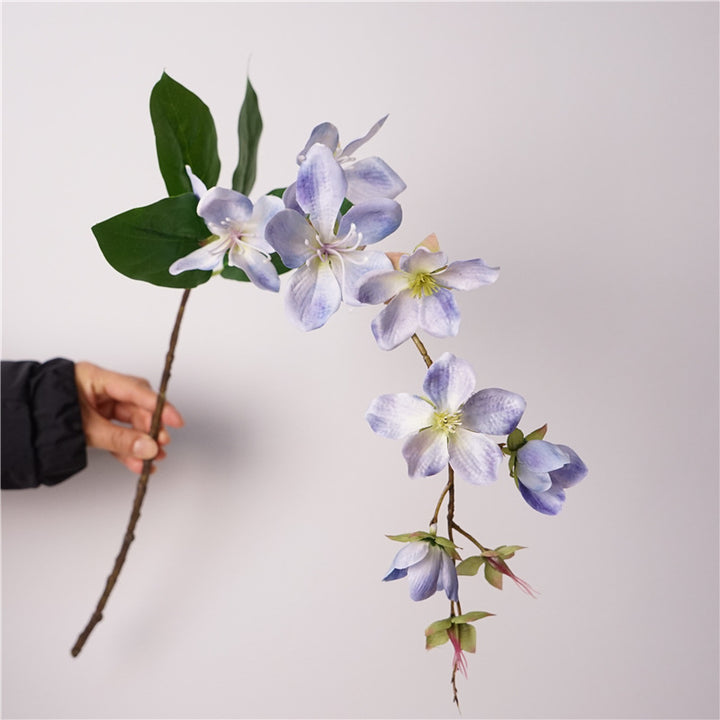 Merr’s Clerodendrum Flower Decor