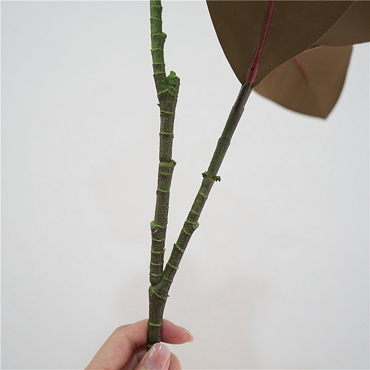 Magnolia Leaf Decor