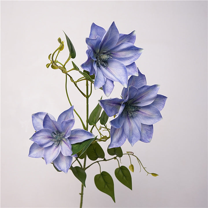 Clematis Flower Decor