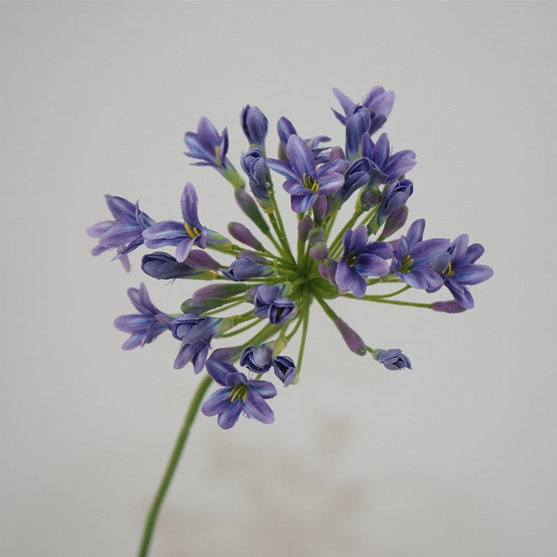 Lily Agapanthus Flower Decor