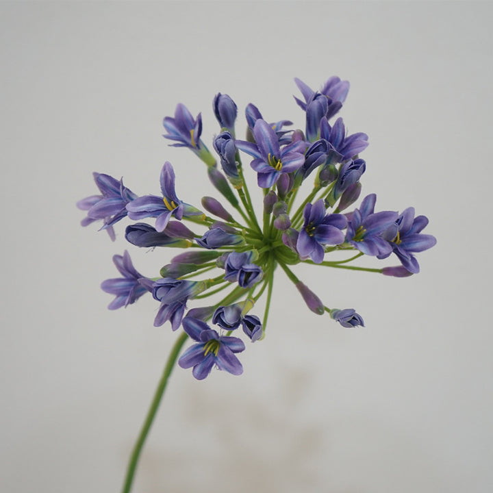 Lily Agapanthus Flower Decor