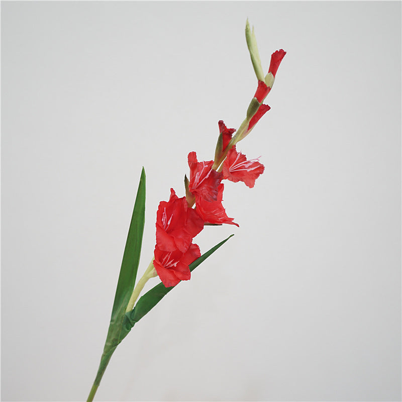 Gladiolus Flower Decor