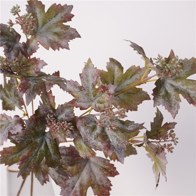 Grape Vine Leaves
