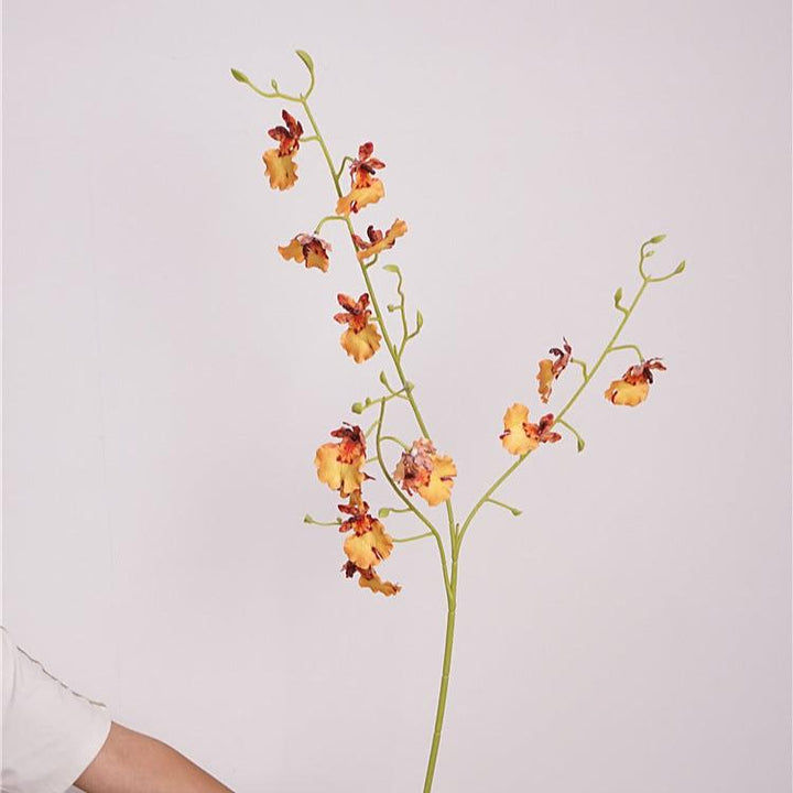 Orchid Oncidium Flower Decor