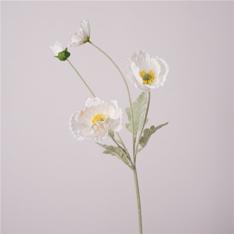 Iceland Poppies Flower Decor