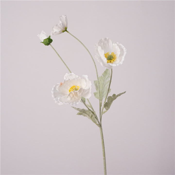 Iceland Poppies Flower Decor