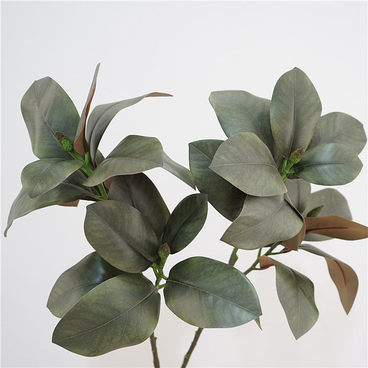 Magnolia Leaf Decor