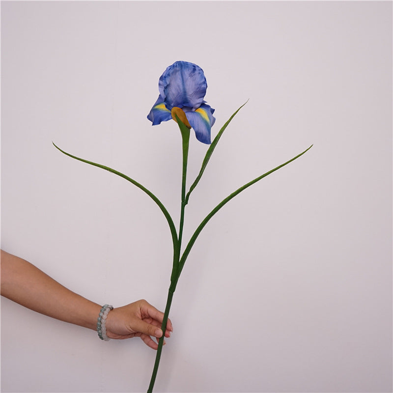 Faux Iris Stem