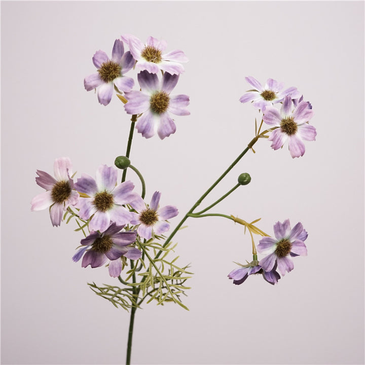 Charming Cosmos Flower Decor