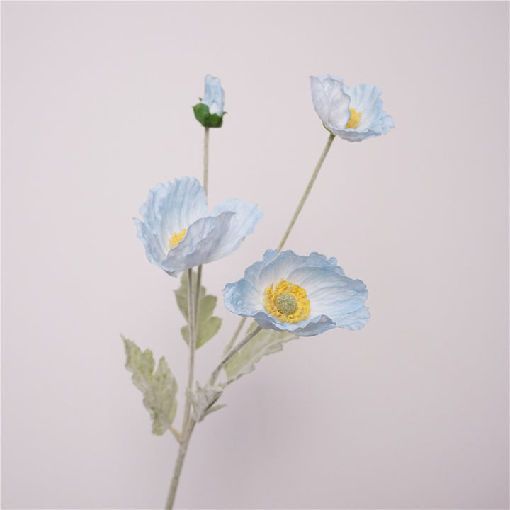 Iceland Poppies Flower Decor