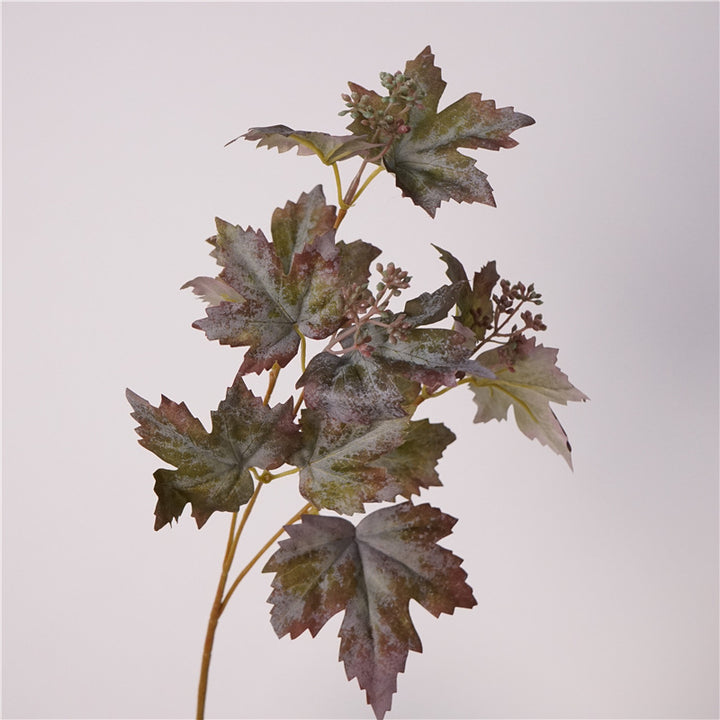 Grape Vine Leaves