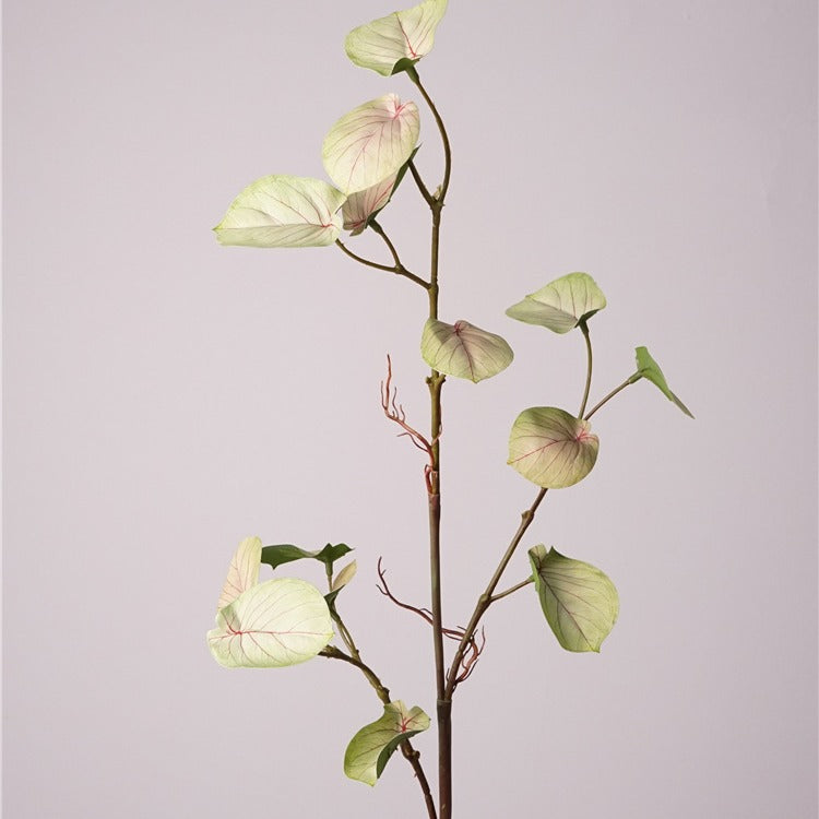 Monstera Deliciosa Plant Decor