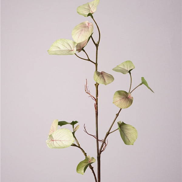 Monstera Deliciosa Plant Decor