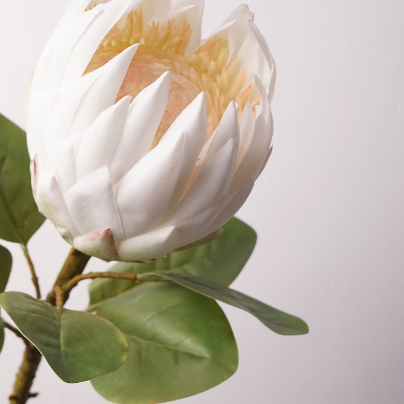King Protea Flower Decor