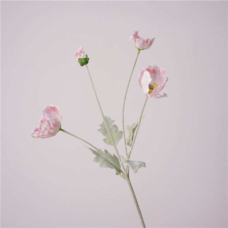 Iceland Poppies Flower Decor