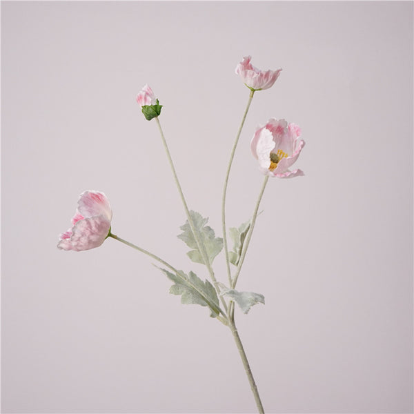 Iceland Poppies Flower Decor