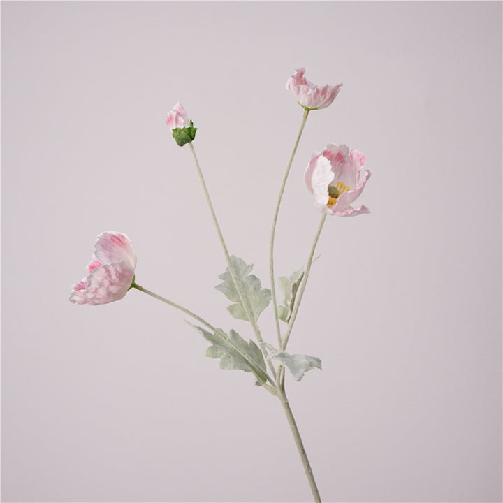 Iceland Poppies Flower Decor