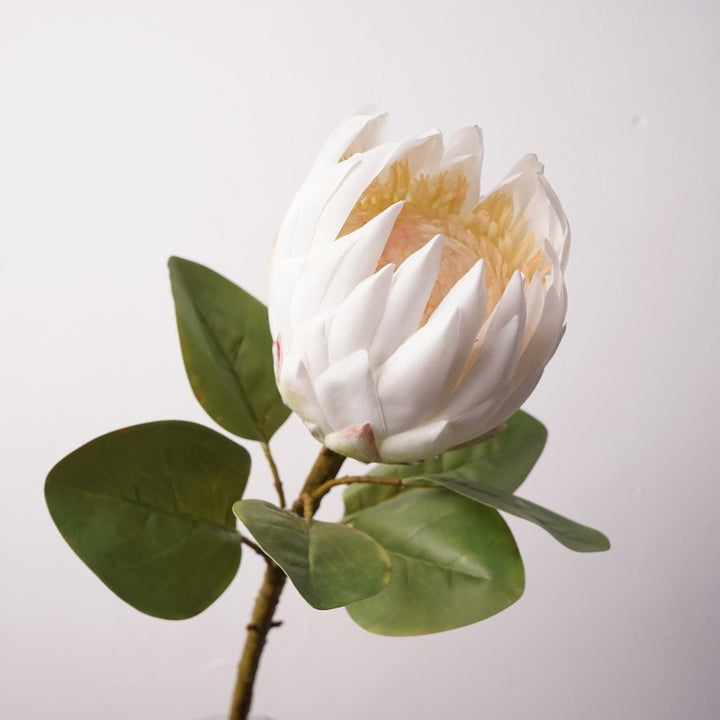 King Protea Flower Decor