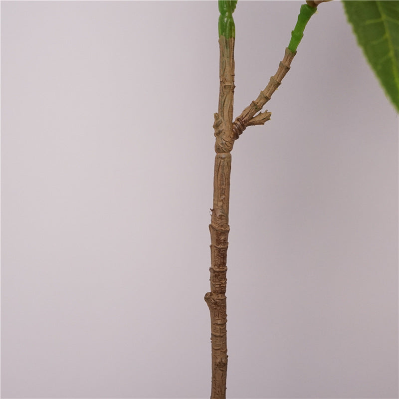 Faux Hainan Elaeocarpus Tree