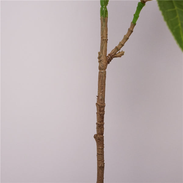 Faux Hainan Elaeocarpus Tree