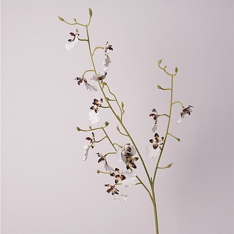 Orchid Oncidium Flower Decor