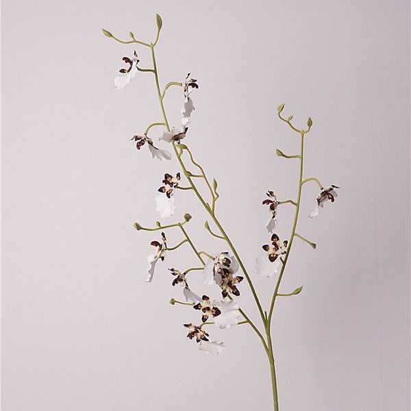 Orchid Oncidium Flower Decor